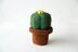 Small Cactus - Ball Cactus - Cute Green Cactus - Crochet Cactus - Crochet Plant - Plant Home Decor - DIY Plant - CROCHET PATTERN no.164