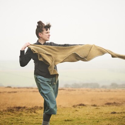 Foreland Point Shawl