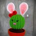 Penny the Bunny Cactus