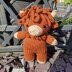 Harry the Heeland Coo