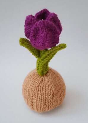Tulip Chocolate Orange Cosy