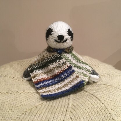 Sloth in a Poncho