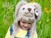 Grommet Puppy Dog Hat