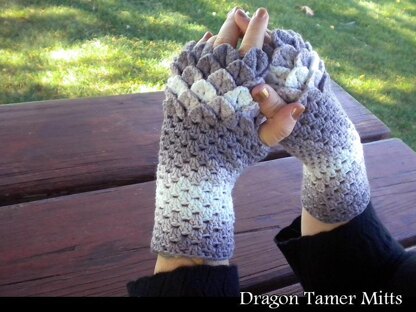 Dragon Tamer Mitts