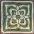 Hibiscus Afghan Square