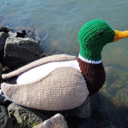 Ducks in a Row - knitting pattern