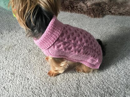 Hugs and Kisses Dog Sweater