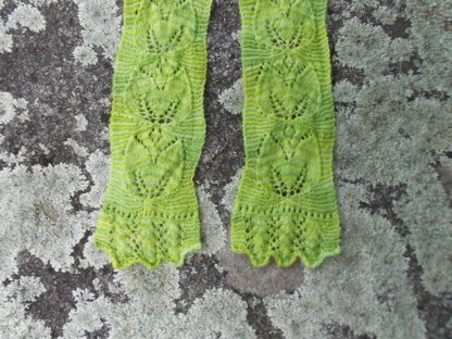 Primula Lace Scarf