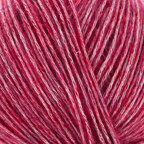Raspberry (495)