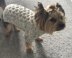 Tweed Dog Sweater