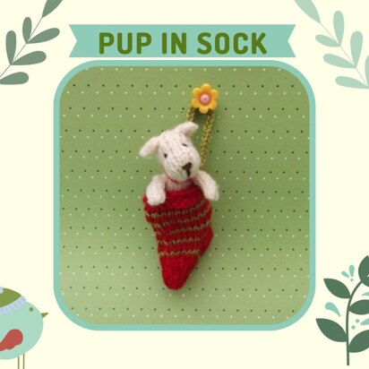 Pup in Sock