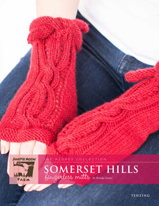 Somerset Hills Fingerless Mitts in Juniper Moon Farm Tenzing