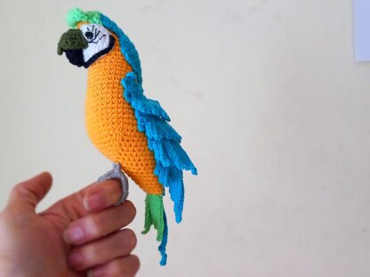 Macaw parrots