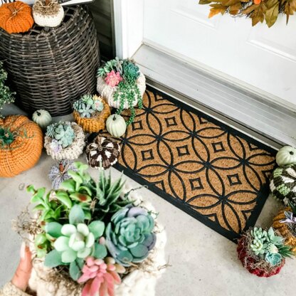 Succulent Pumpkin Cozy