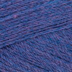 Concord Grape Pie (356)