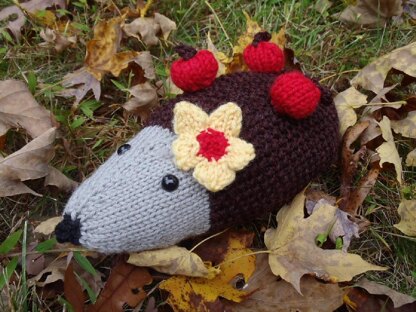 Harriette, the hedgehog