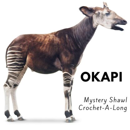 Okapi Shawl