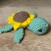 Sunflower Sea Turtle