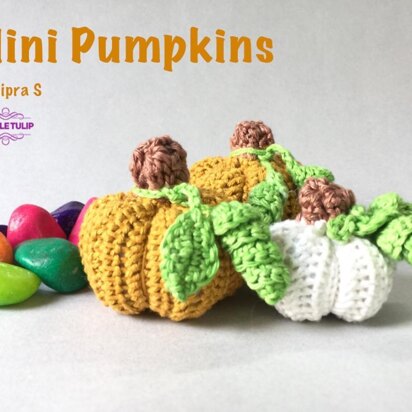 Mini Pumpkins