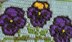 Flower Power series - Pretty Pansies