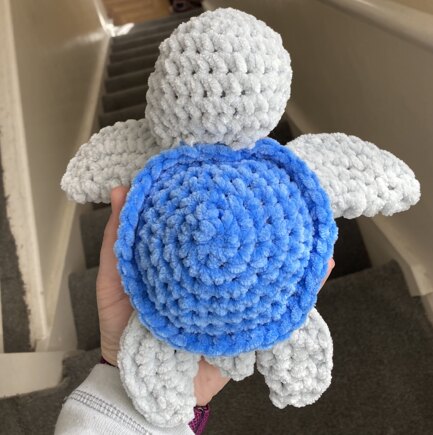 turtle #4