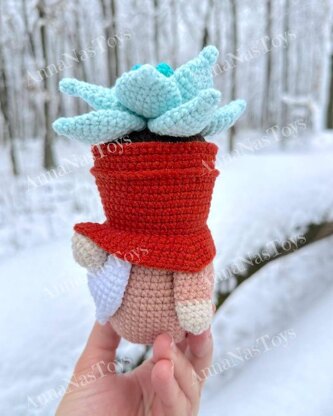 Gnome succulent_Echeveria