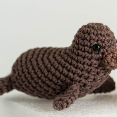 Baby Walrus Wally