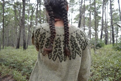 Alocasia Pullover