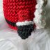 Gnome and Santa Amigurumi