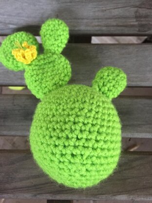 Crochet Cactus 2