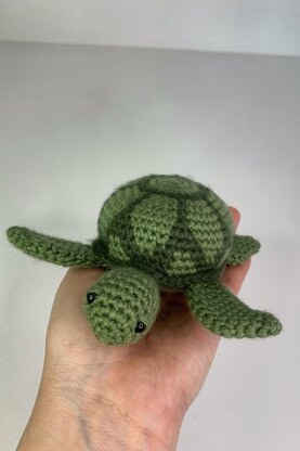 Myrtle the Turtle