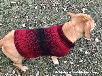 Easy Dog Sweater Medium