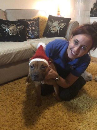 Free Dog Christmas Santa Hat