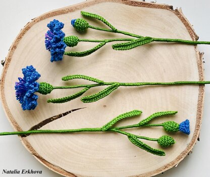 Cornflowers