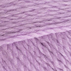 Crocus (2568)
