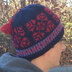 Lisa McFetridge Dream Weaver Ski Cap PDF