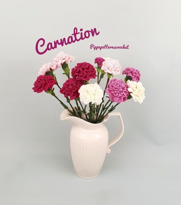 Carnation