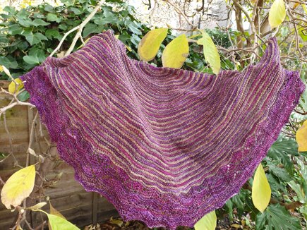 Delightful shawl #4