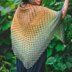 Brynn Shawl