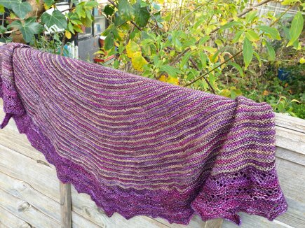 Delightful shawl #3
