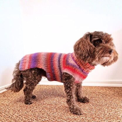 Easy-Peasy Pup Knit