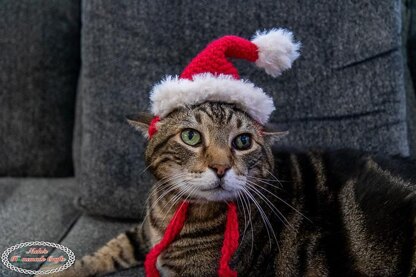 Cat Santa Hat