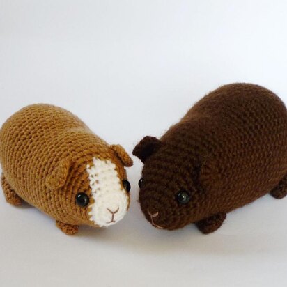 Guinea pig combo pack