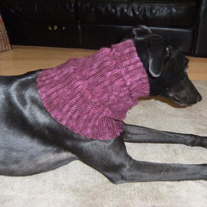 Greyhound snood