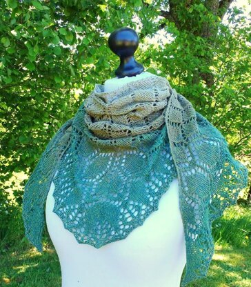 Tortoise shawl