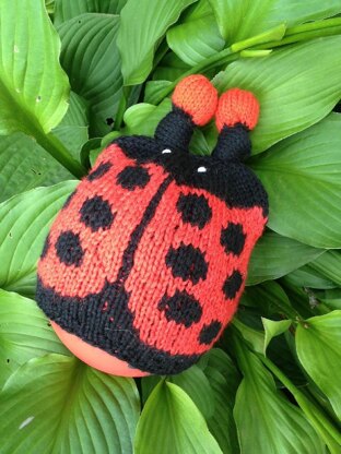 Honey Bumble & Little Lady Bug Hats