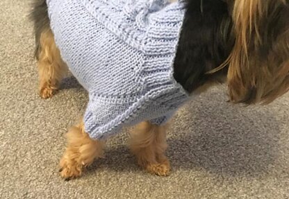 Sky Blue Dog Sweater