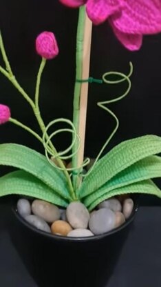 Crochet Orchid flower