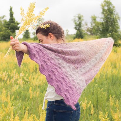 Beloved Roots Fade Shawl