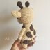Gina the Small Giraffe